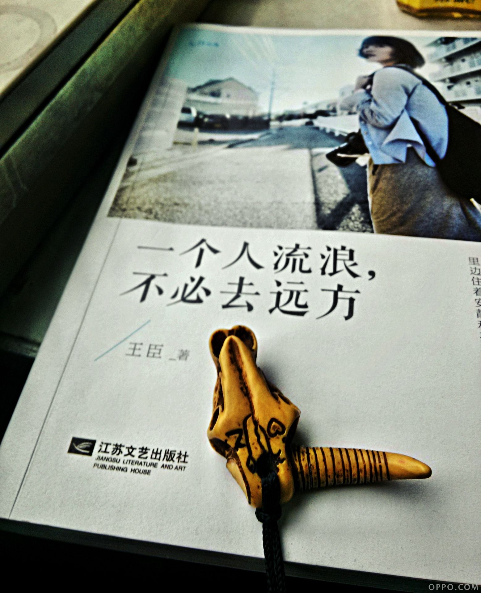 一个人去流浪,不必去远方.