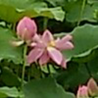 用这个方法给照片加文字,照片格调分分钟飙升