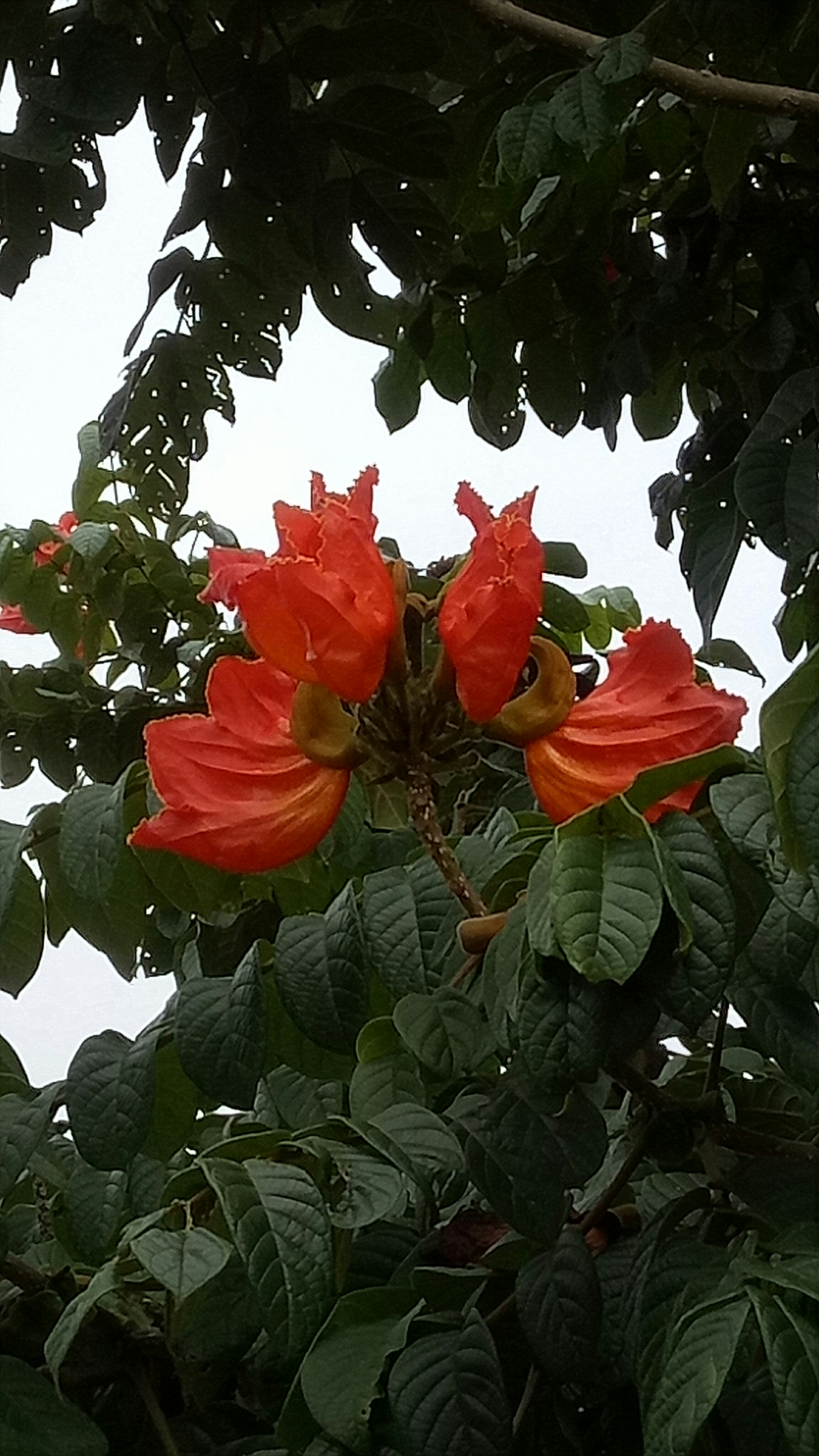 古风景素材picsart