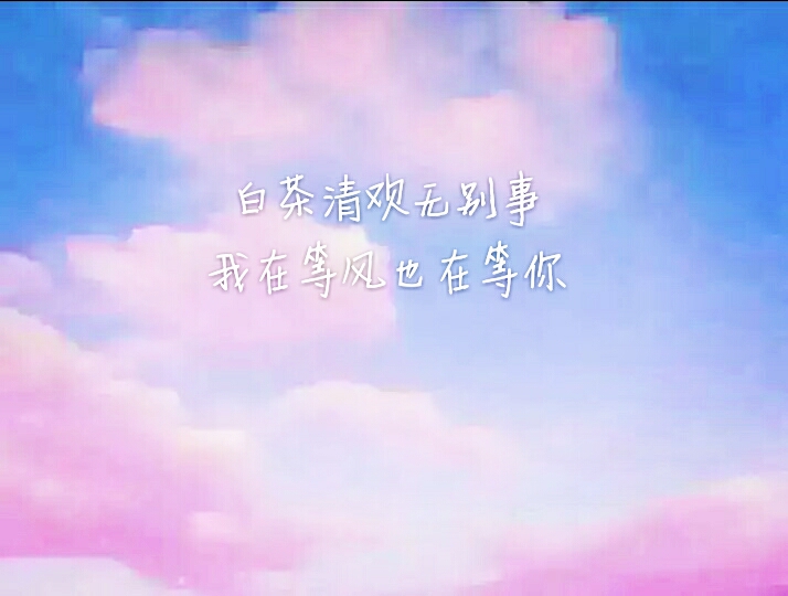 白茶清欢无别事我在等风也等你   