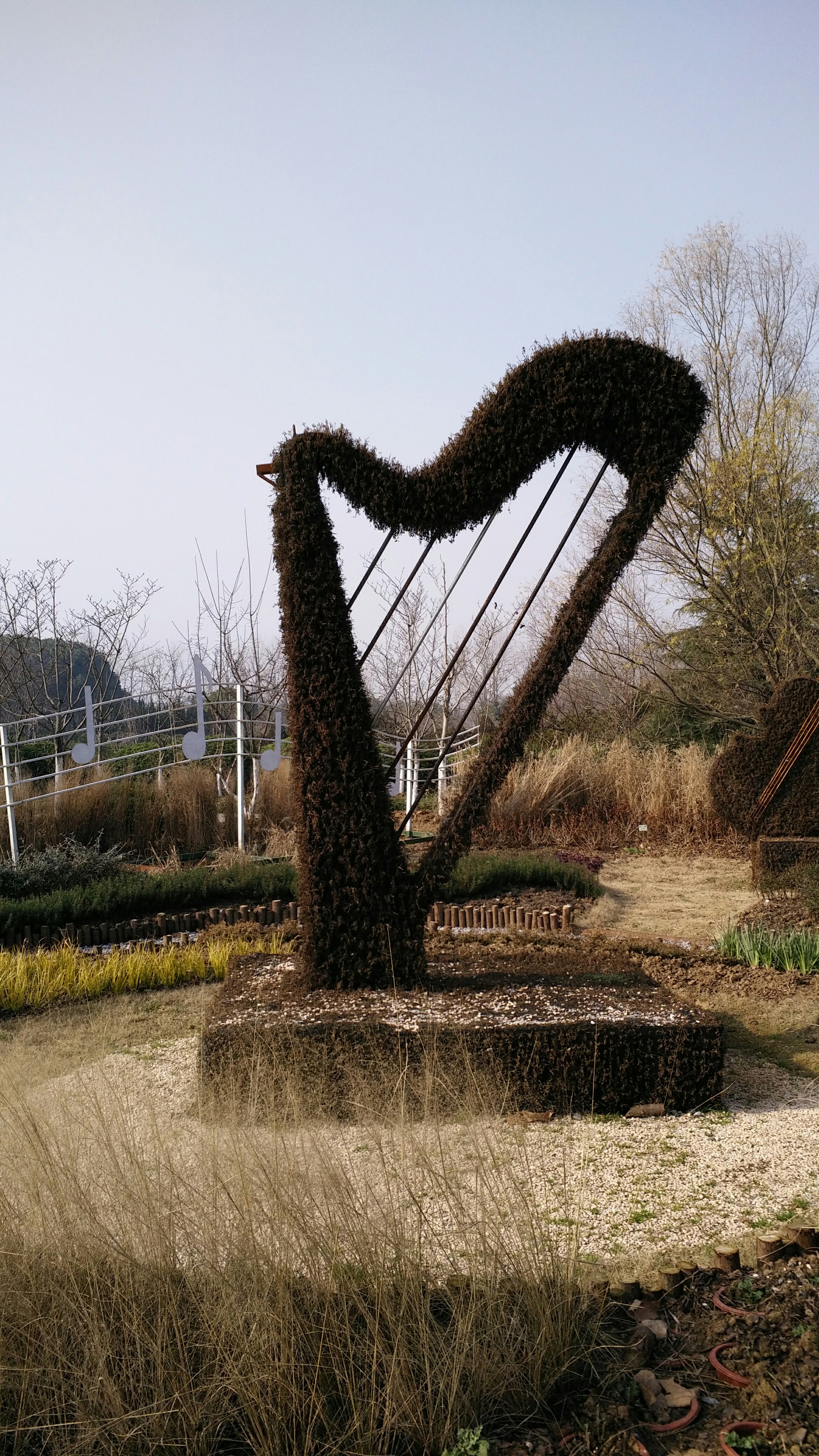 音乐之声