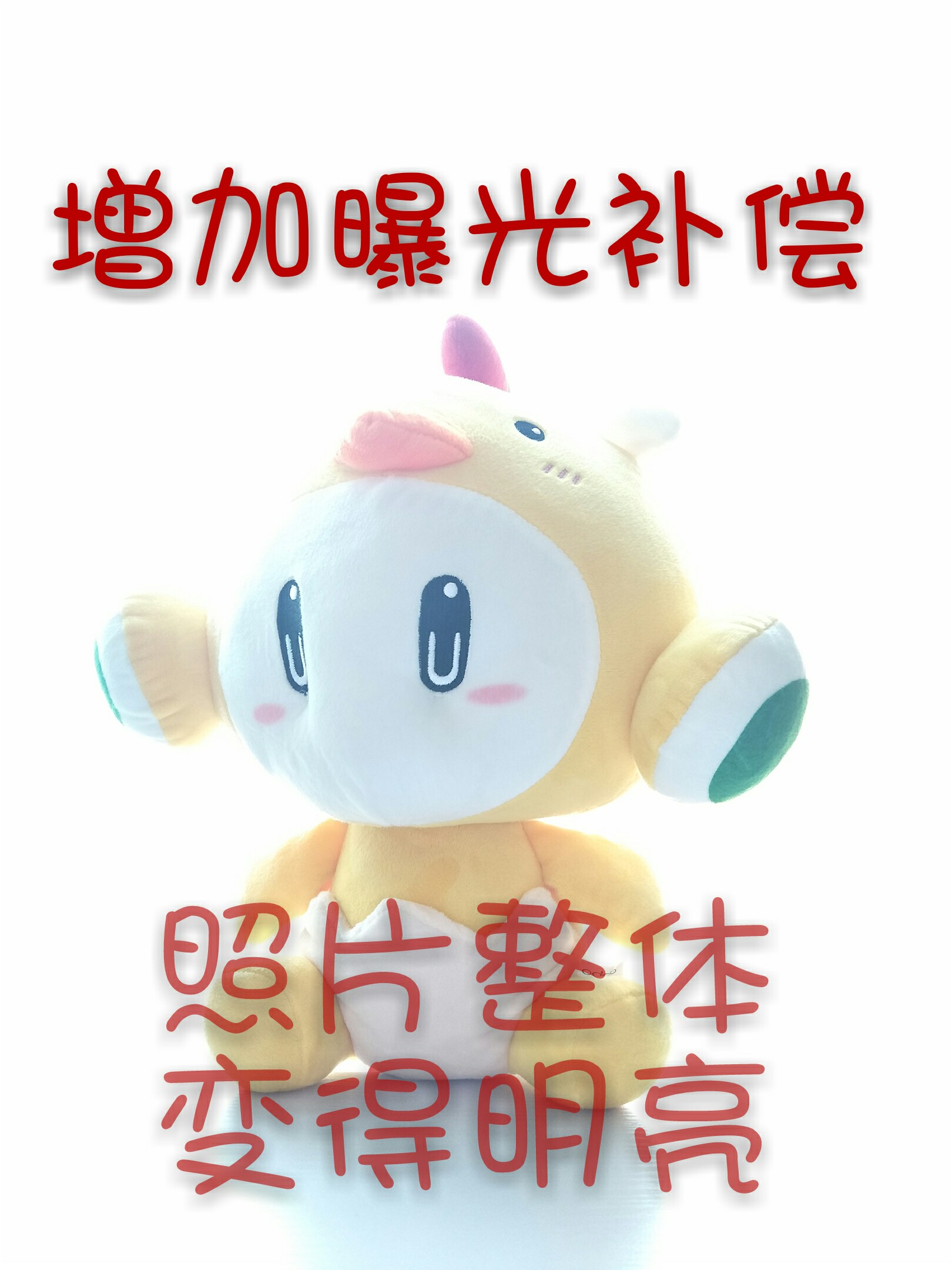 45609231