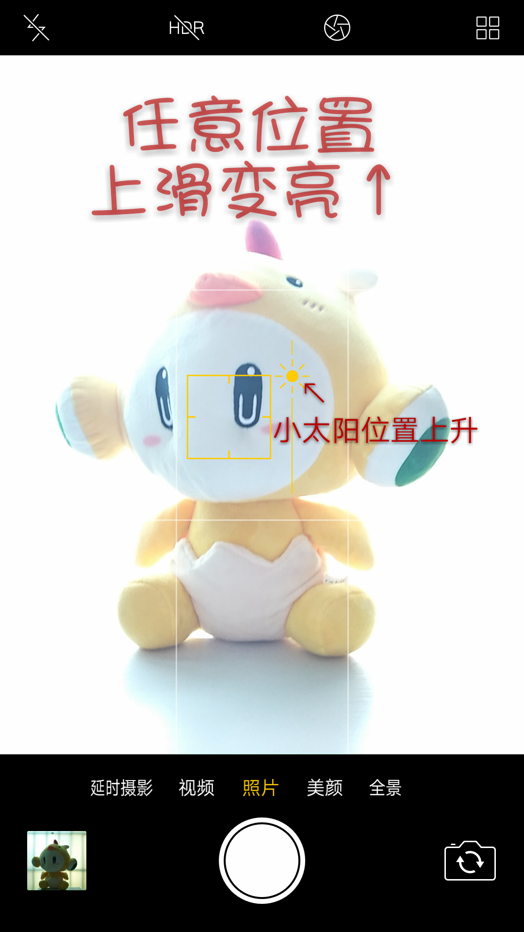 45609233