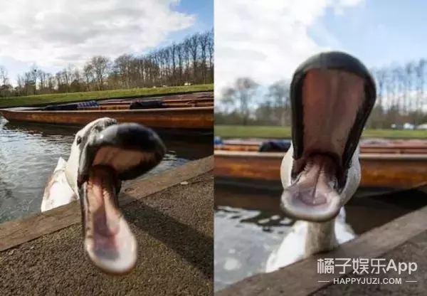 45799283