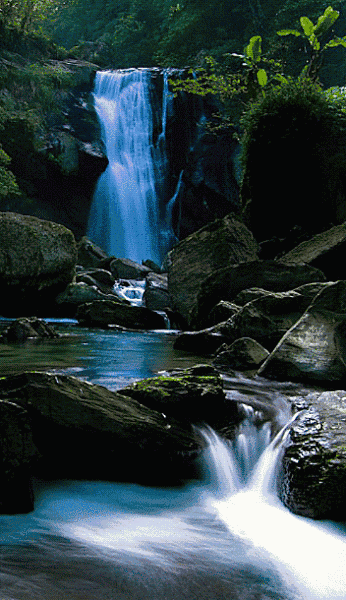 壁纸 风景 山水 桌面 346_600 竖版 竖屏 手机 gif 动态图 动图