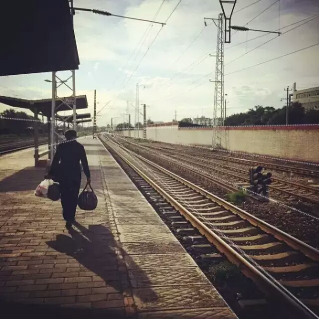 47397391