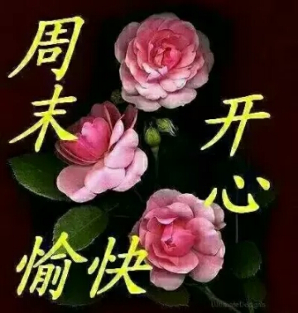 早上好,我同祝各位友友,周末愉快,天天开心,天天好心情