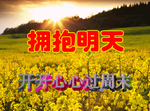 ֽ Ƭֲ 羰 ֲ ֲ  500_3 gif ̬ͼ ͼ
