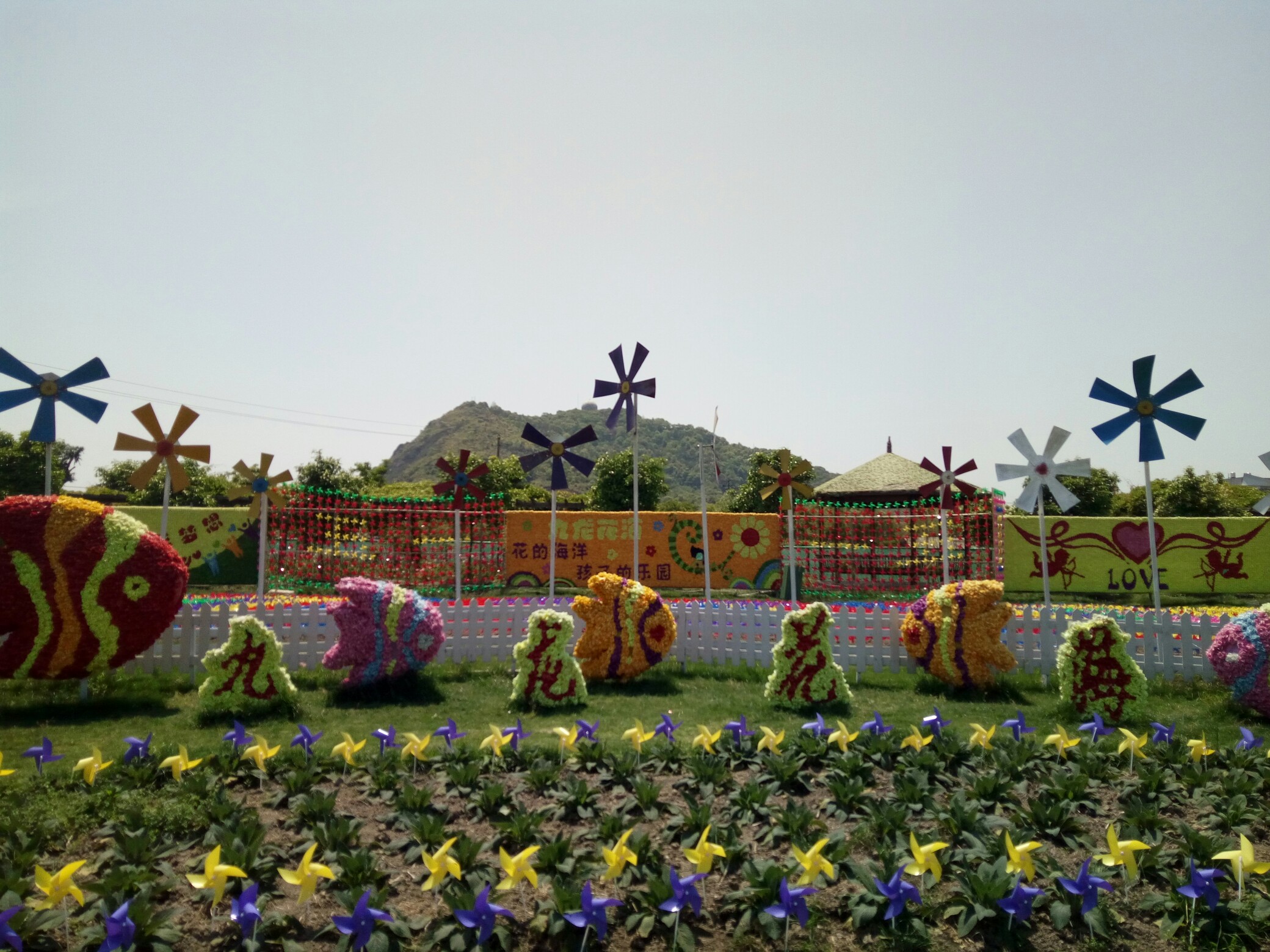 五一 九龙花海