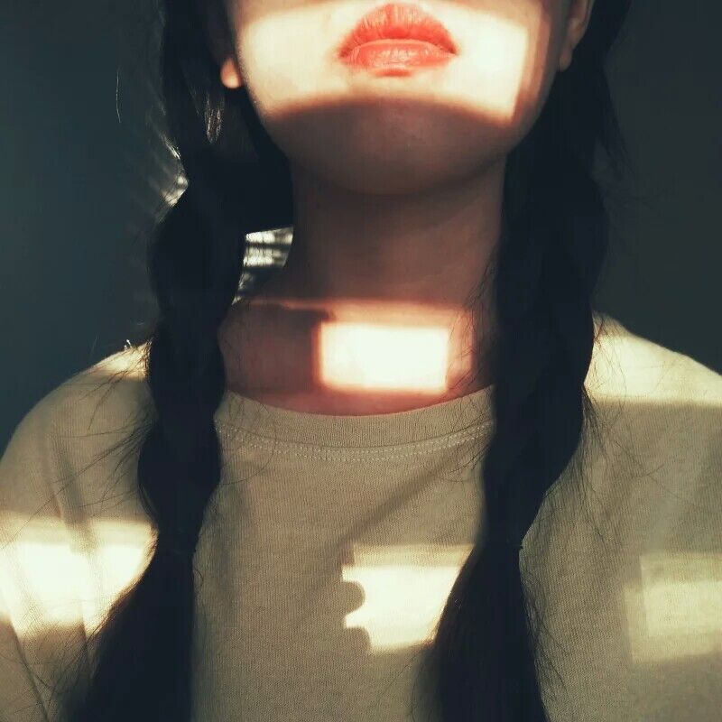 53433754