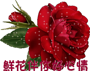 东山仙公石:有心,谢谢美女 05-17 20:18回复 展开 {@data.