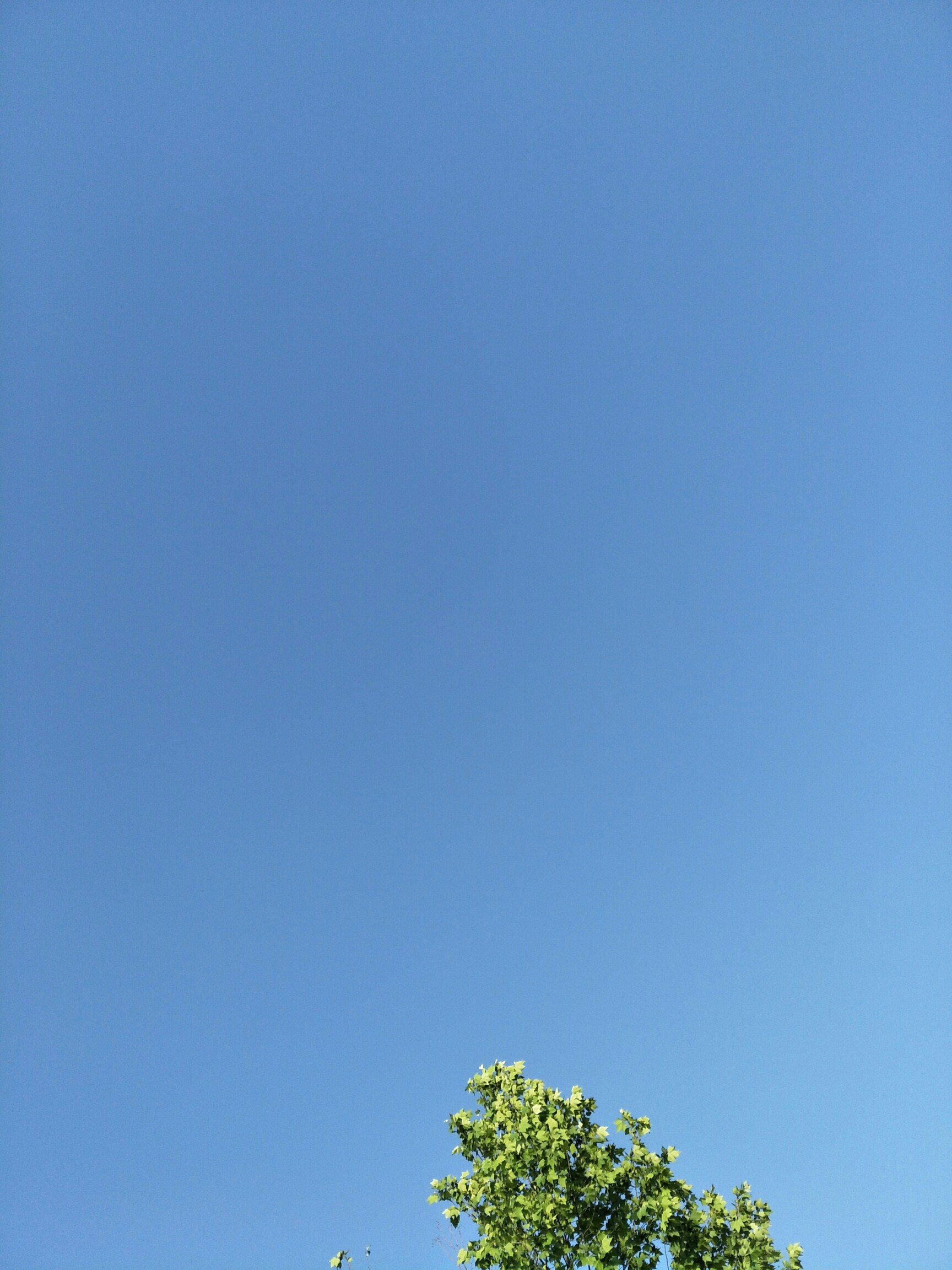 湛蓝的天空