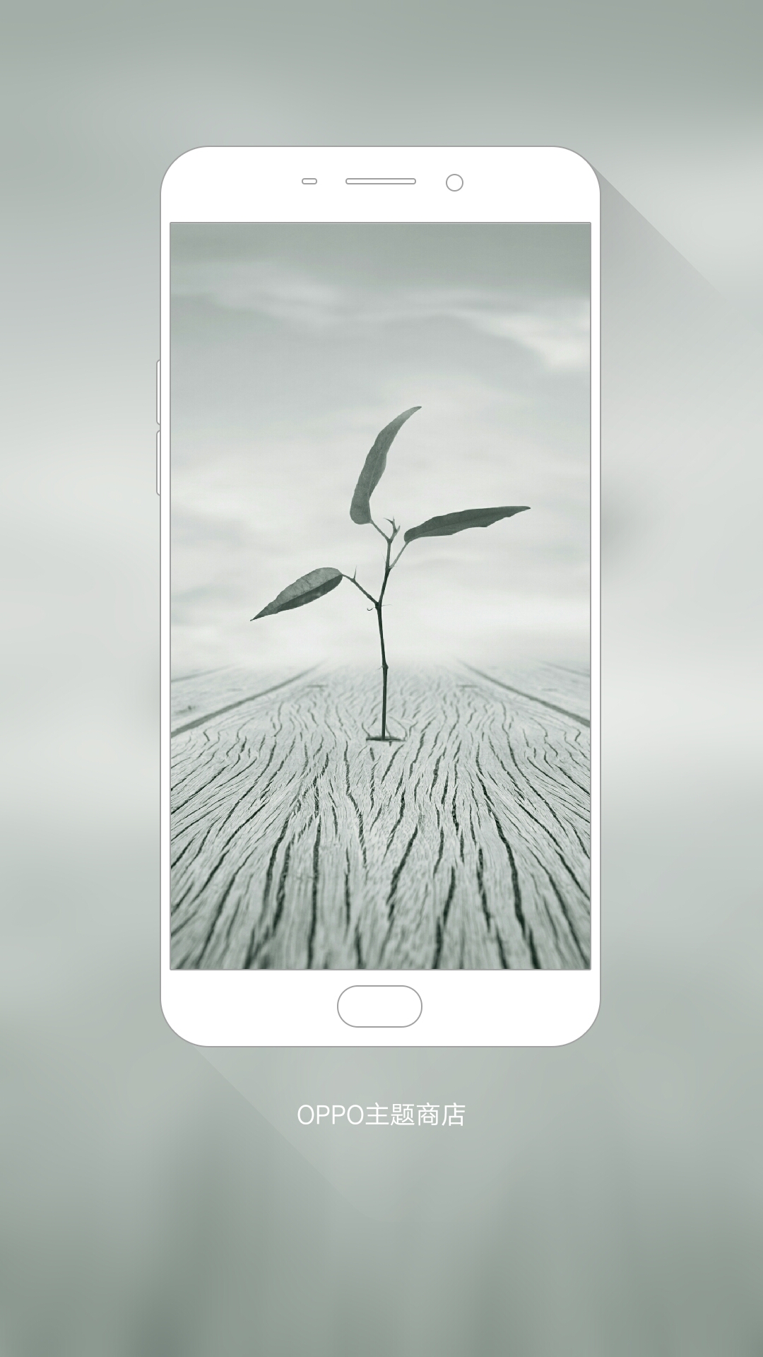 我在#oppo主题商店#发现一款壁纸 怒发