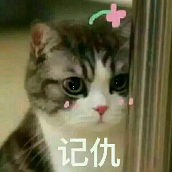 玩家记仇有多可怕?被欺负一次花3年时间报复