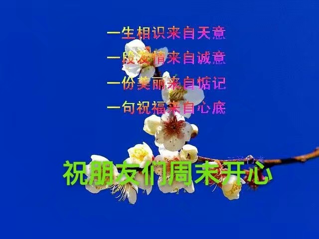 周末的早晨 (916x1204) 早上好微信表情包图片 周末早安问候语 (240