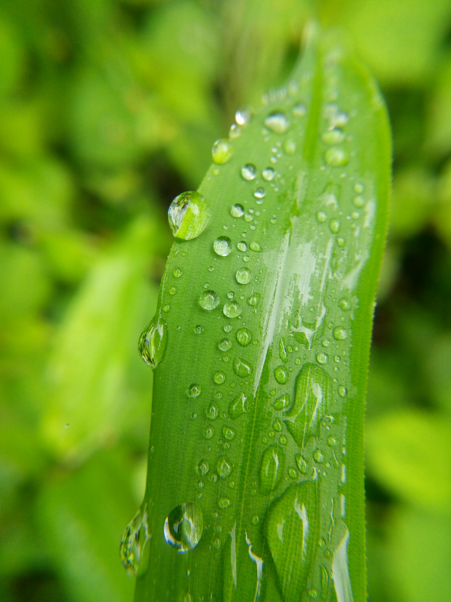 雨天这么美,我这么这么喜欢,喜欢得迷失在了你的世界里,不