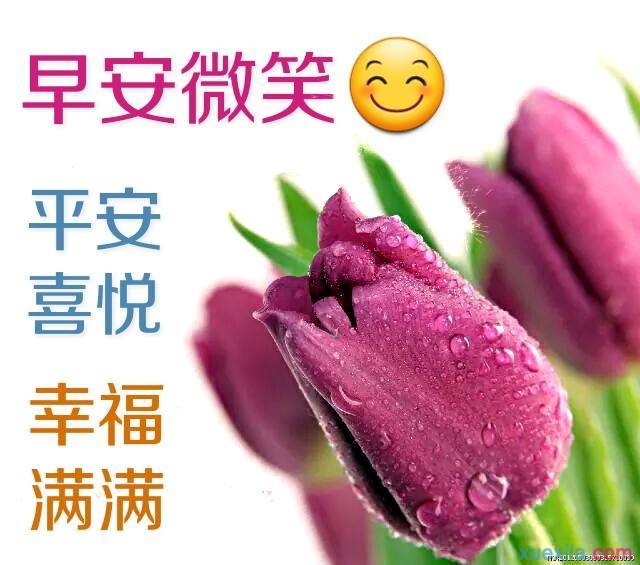 早安,兄弟姐妹,友友!