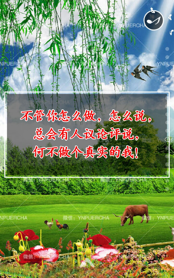 红尘蝶恋歌谱及歌词