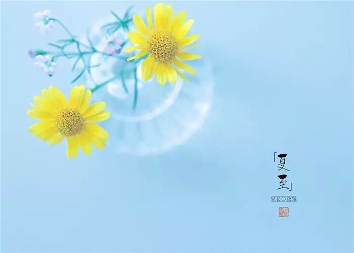 今夏至图片