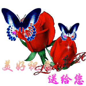 周末快乐!         
