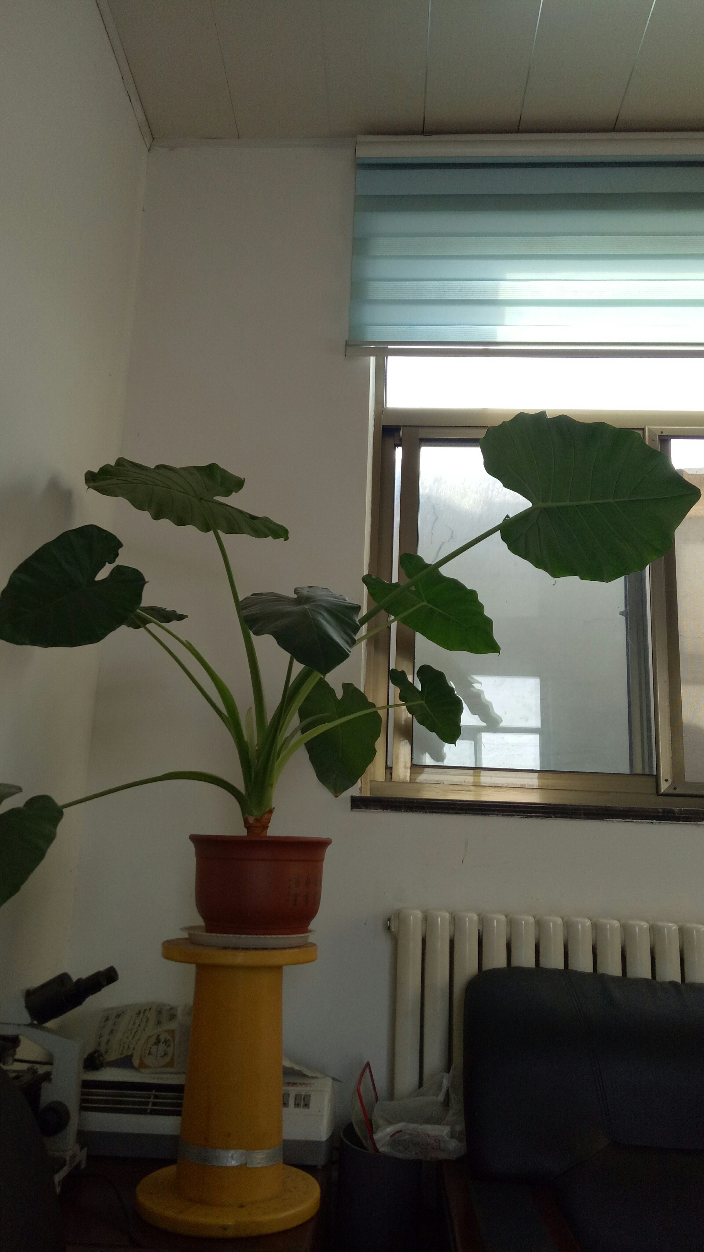 总有一天,你会明白:你的委屈要自己消化,你的
