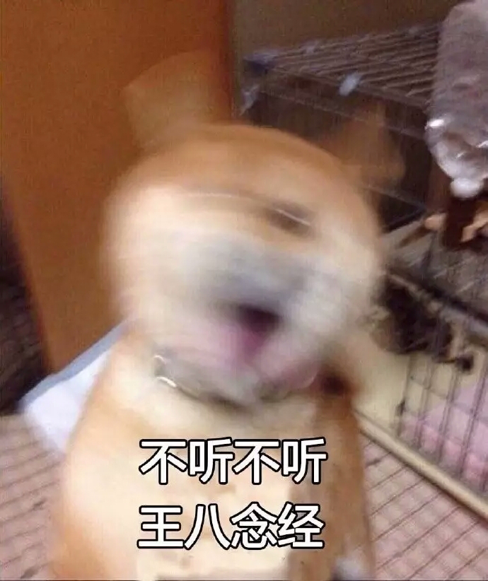 我生气了快哄我表情包