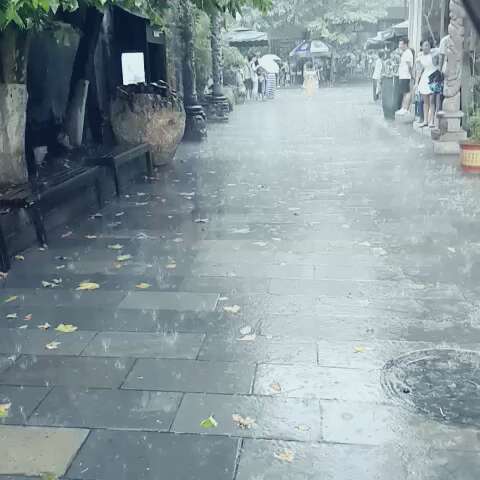 还说七月七日晴,晴个毛线,还不是下大雨