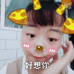 74564908