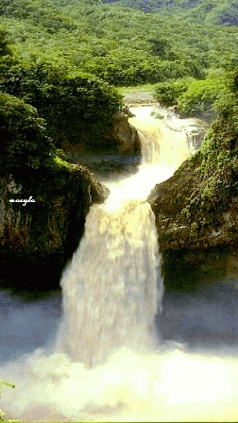 壁纸 风景 旅游 瀑布 山水 桌面 346_6 竖版 竖屏 手机 gif 动态图