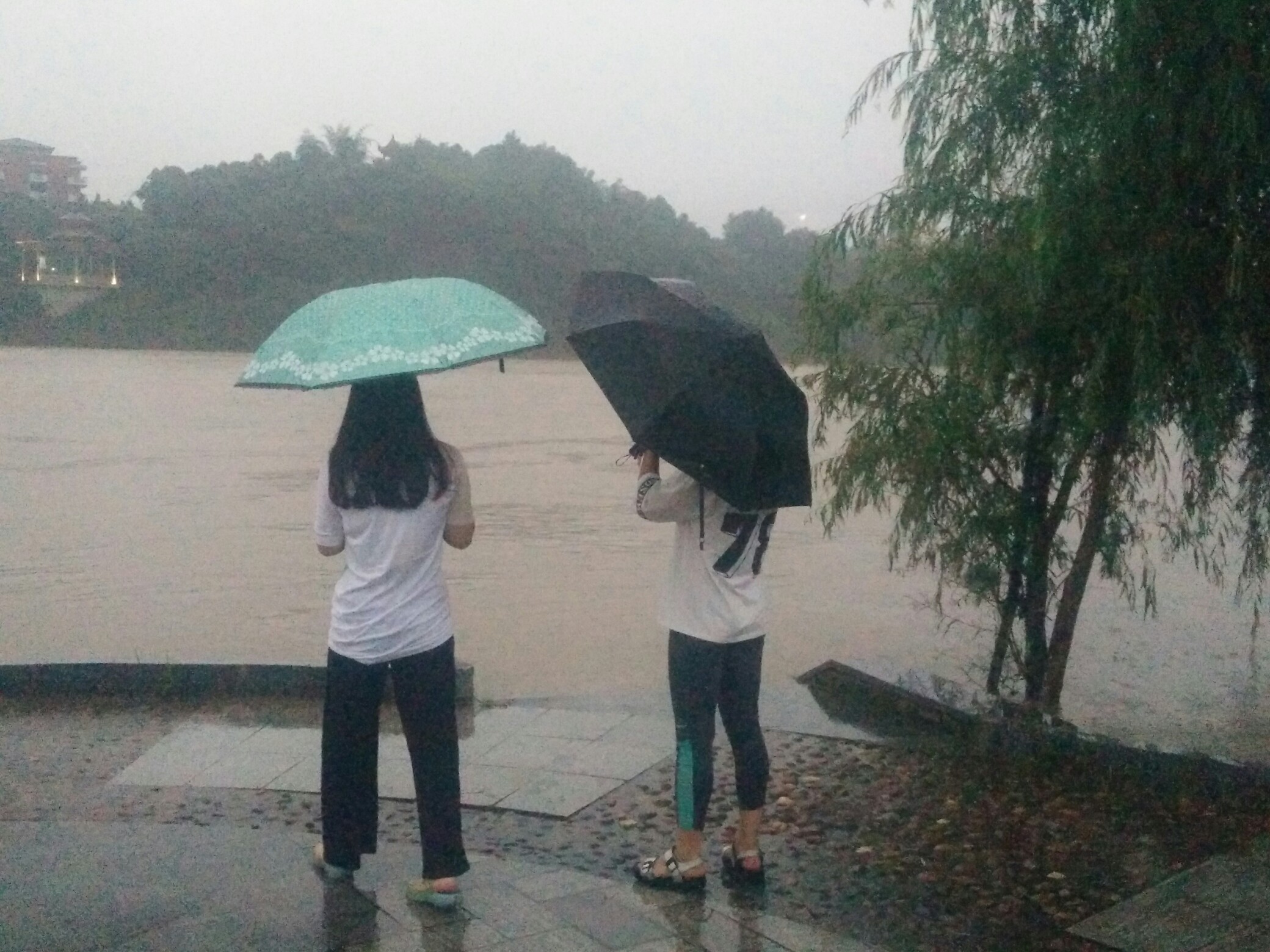 雨中美女