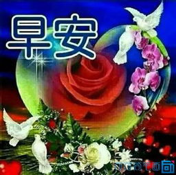 15社区早上好最新图图片大全