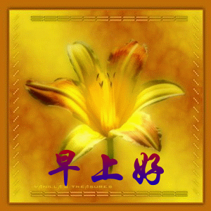 15社区早上好最新图图片大全