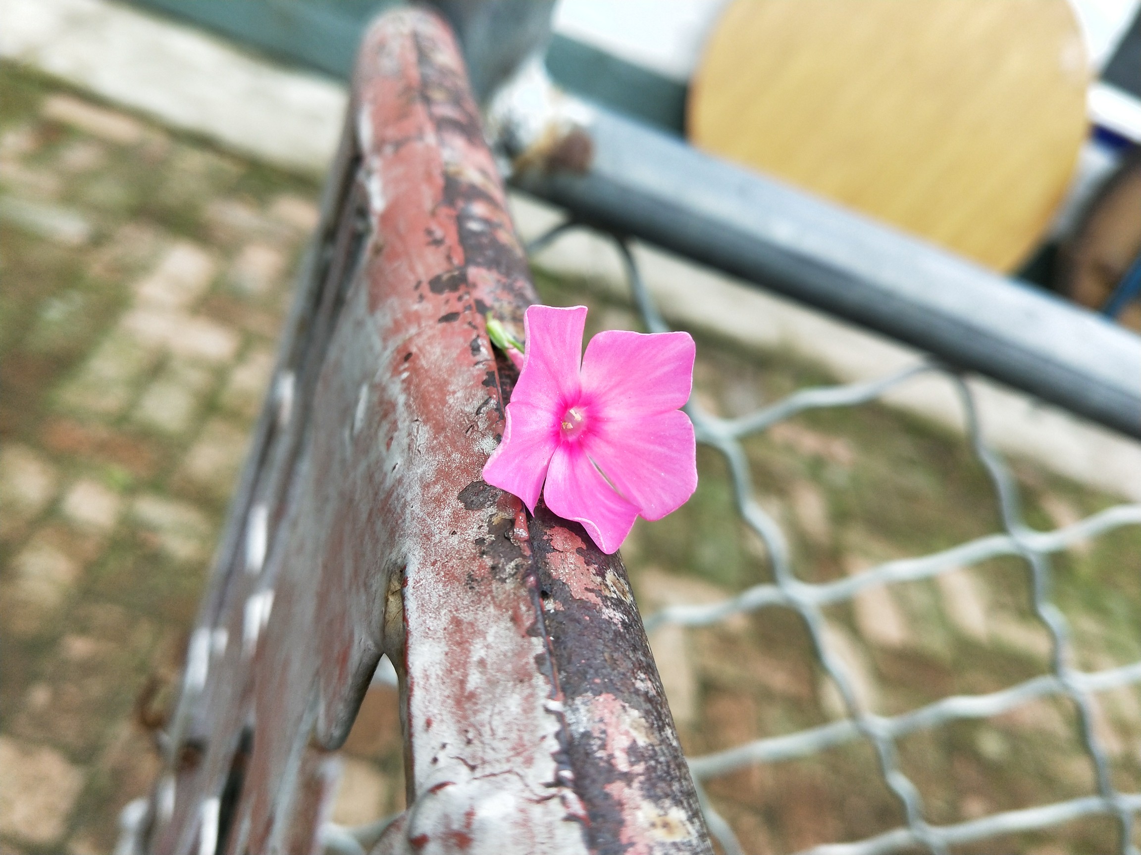 #在线客服#怎样更改oppor11 安全问题的答案