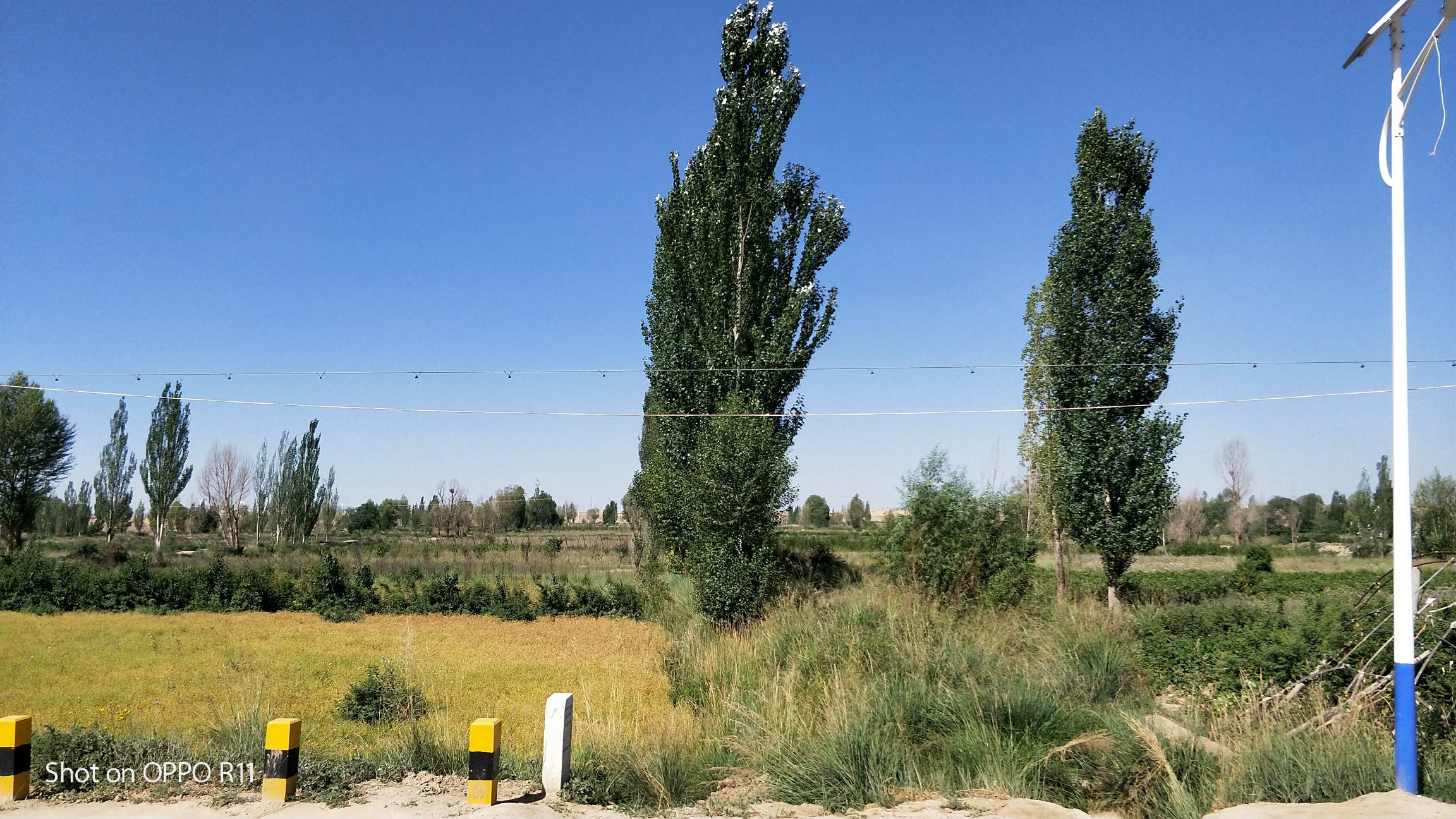 #在线客服#OPPOR11相机怎么没有时间水印了