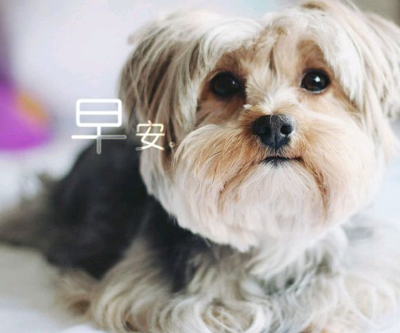 与青春合拍