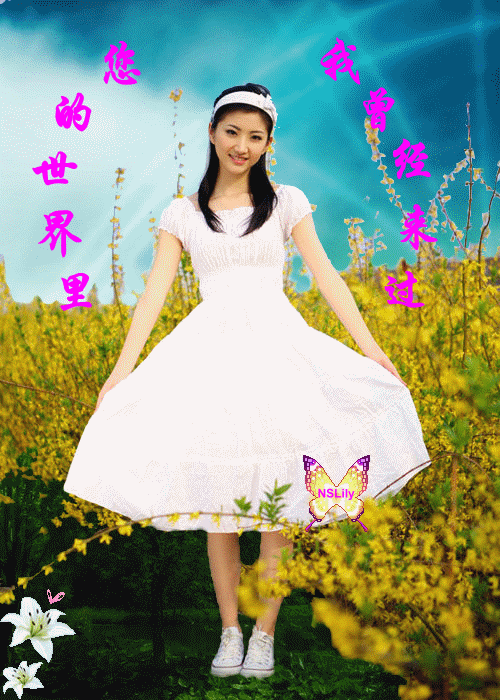 婚纱 婚纱照 500_700 竖版 竖屏 gif 动态图 动图