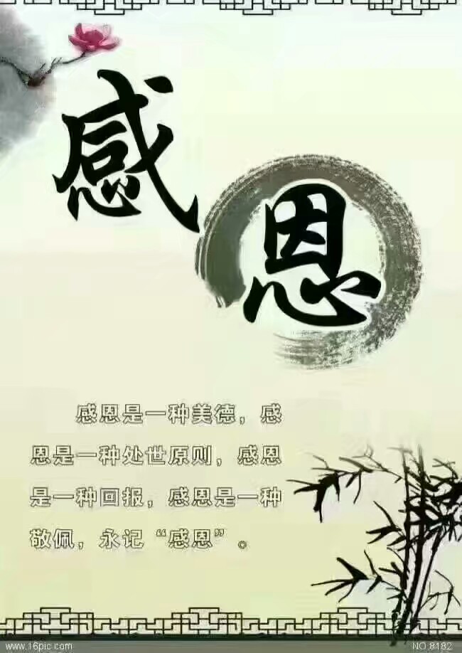 有一种温暖叫感恩