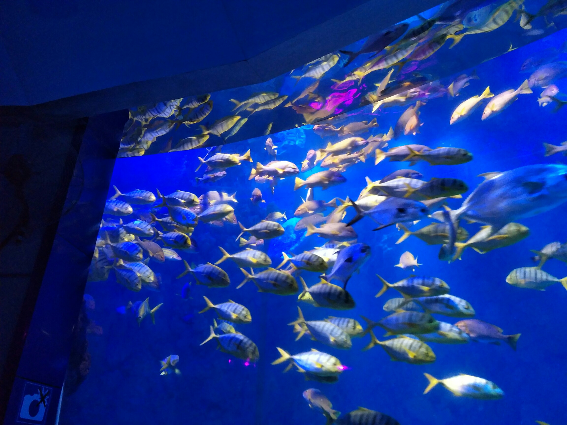 赣州龙川极地海洋世界图片