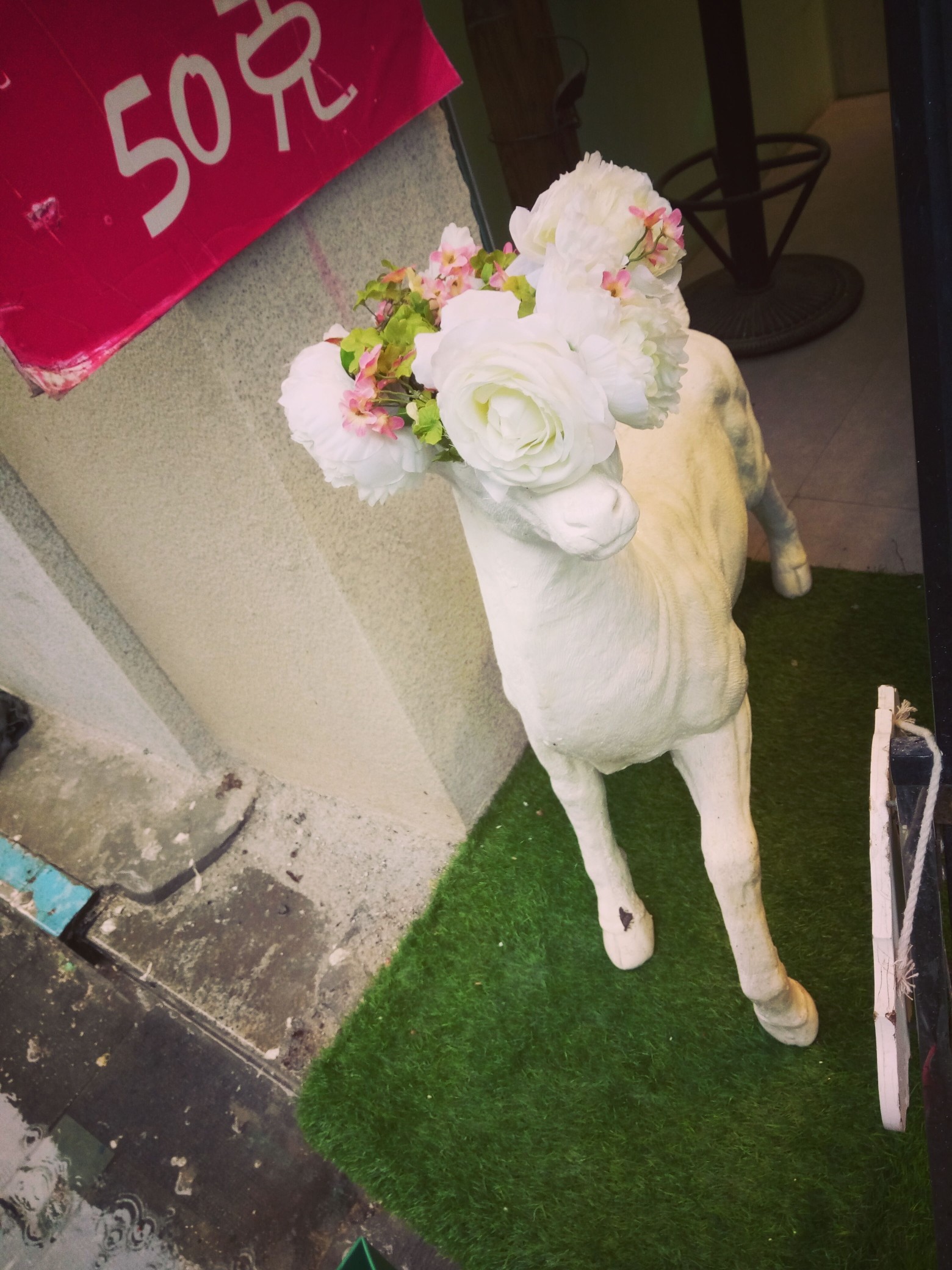 别看我是一只羊---口琴版