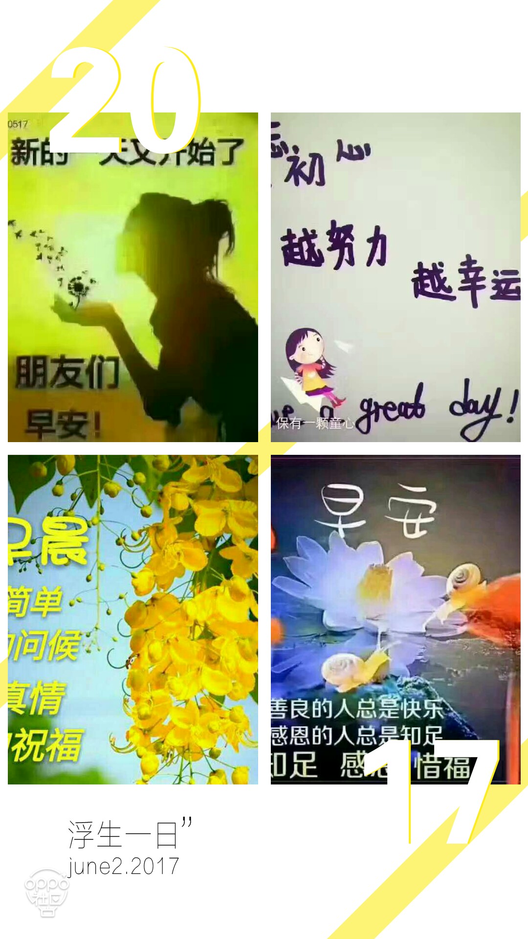 Ϻñչʾ