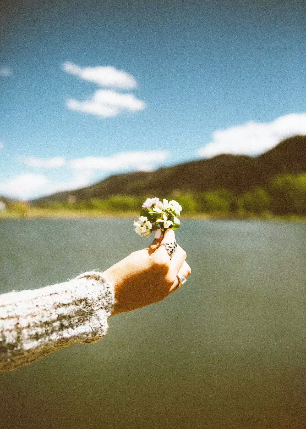 只闻花香,浅忆萦绕. 不悲不喜,静守时光. (▽网图)