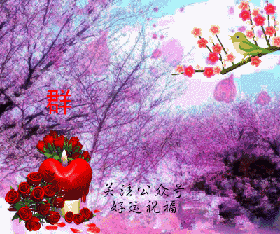 岁月如歌#_帖子_oppo手机官方社区