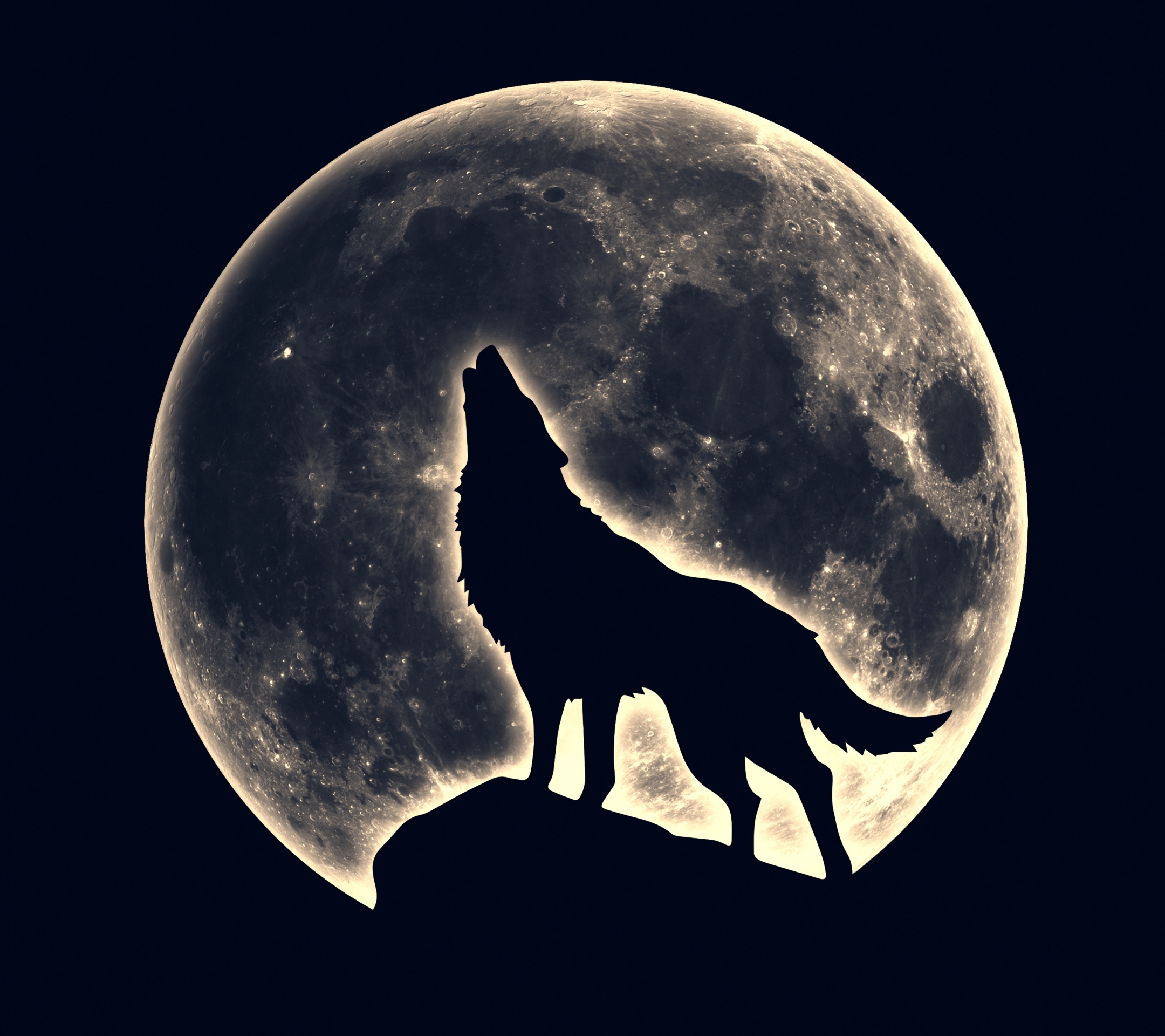 黑暗的夜晚，狼对着月亮嚎叫照片摄影图片_ID:307678904-Veer图库