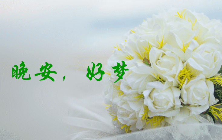 友友们晚安,做个好梦!