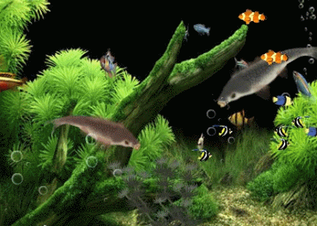 水草 水生植物 450_321 gif 动态图 动图