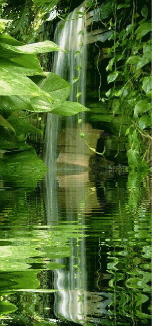 溪水