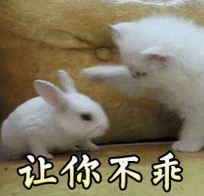 无话可说