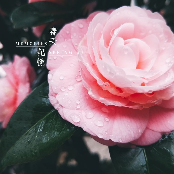 201015012