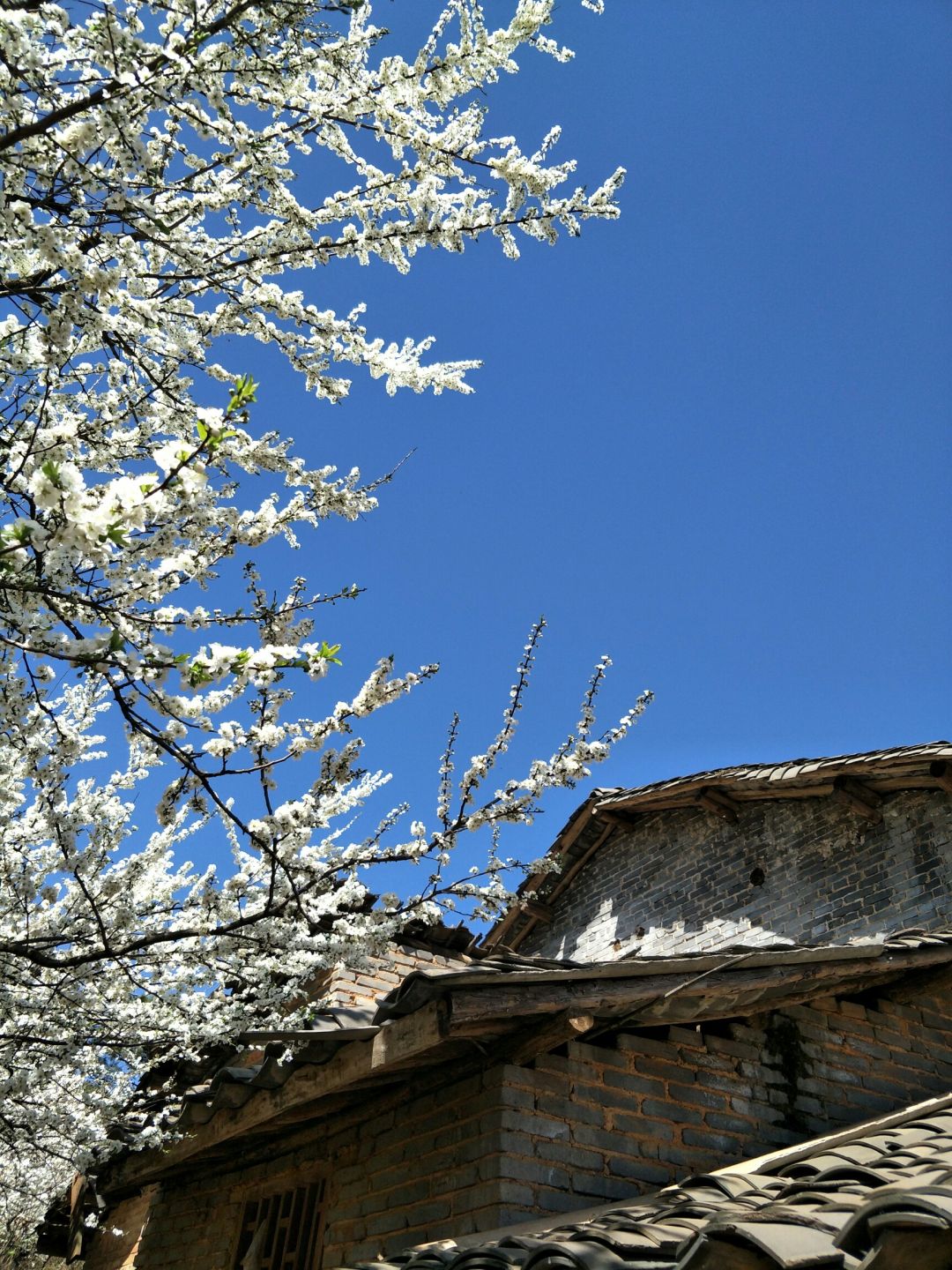 201020144