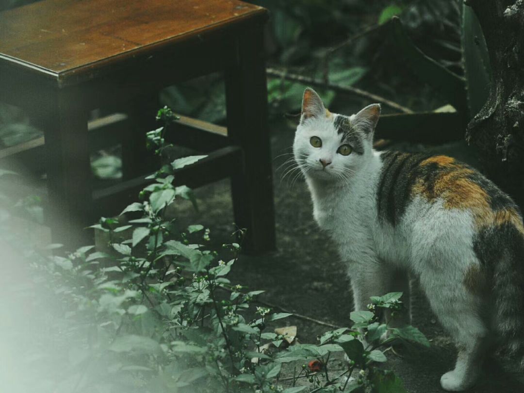 201027928